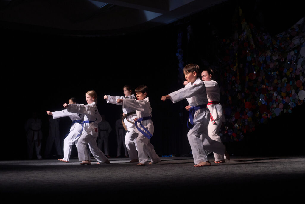 TAEKWONDO 2