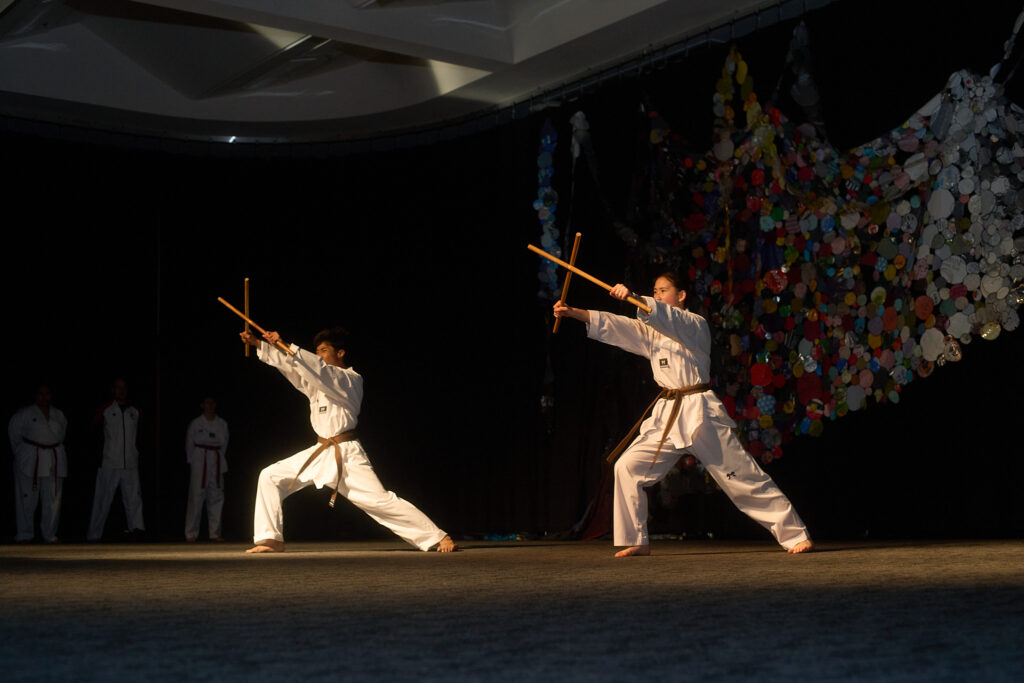 taekwondo